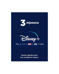 Disney+ 3 Months United States