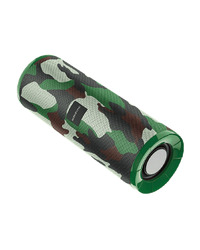 Zvučnik BLUETOOTH BOROFONE BR1 Beyond sportive FM, TF card, U disk, AUX, TWS green