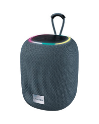 CANYON speaker BSP-8 10W Gray