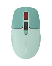 CANYON mouse MW-26 LCD Silent Dual Mode Wireless Green