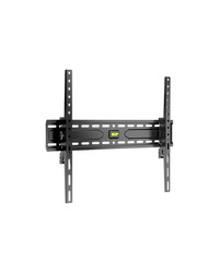DOMOTEC Nosac za TV FIKSNI 43
