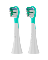 ADBTH09M's accessory Brush Head, 2 pcs