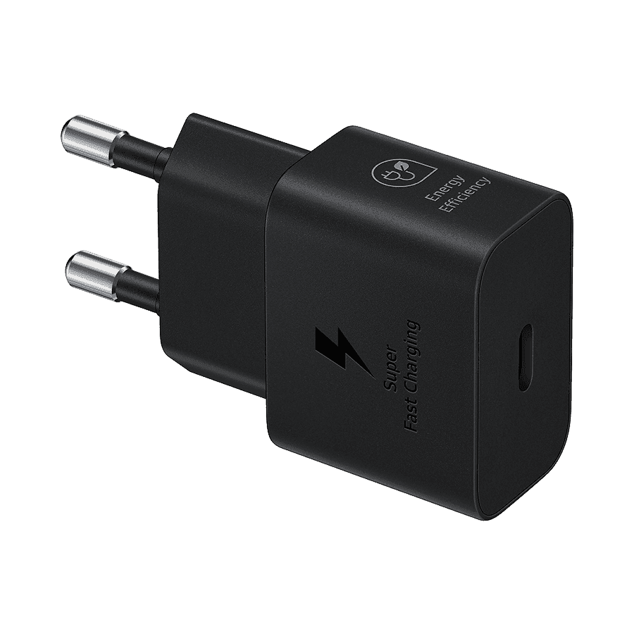 Punjač SAMSUNG ORG. 25W Super Fast Charging Type-C Wall Charger Black EP-T2510NBEGEU
