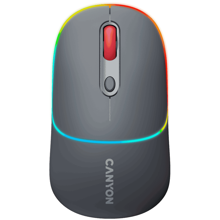 CANYON mouse MW-22 2in1 BT/ Wireless Dark Grey